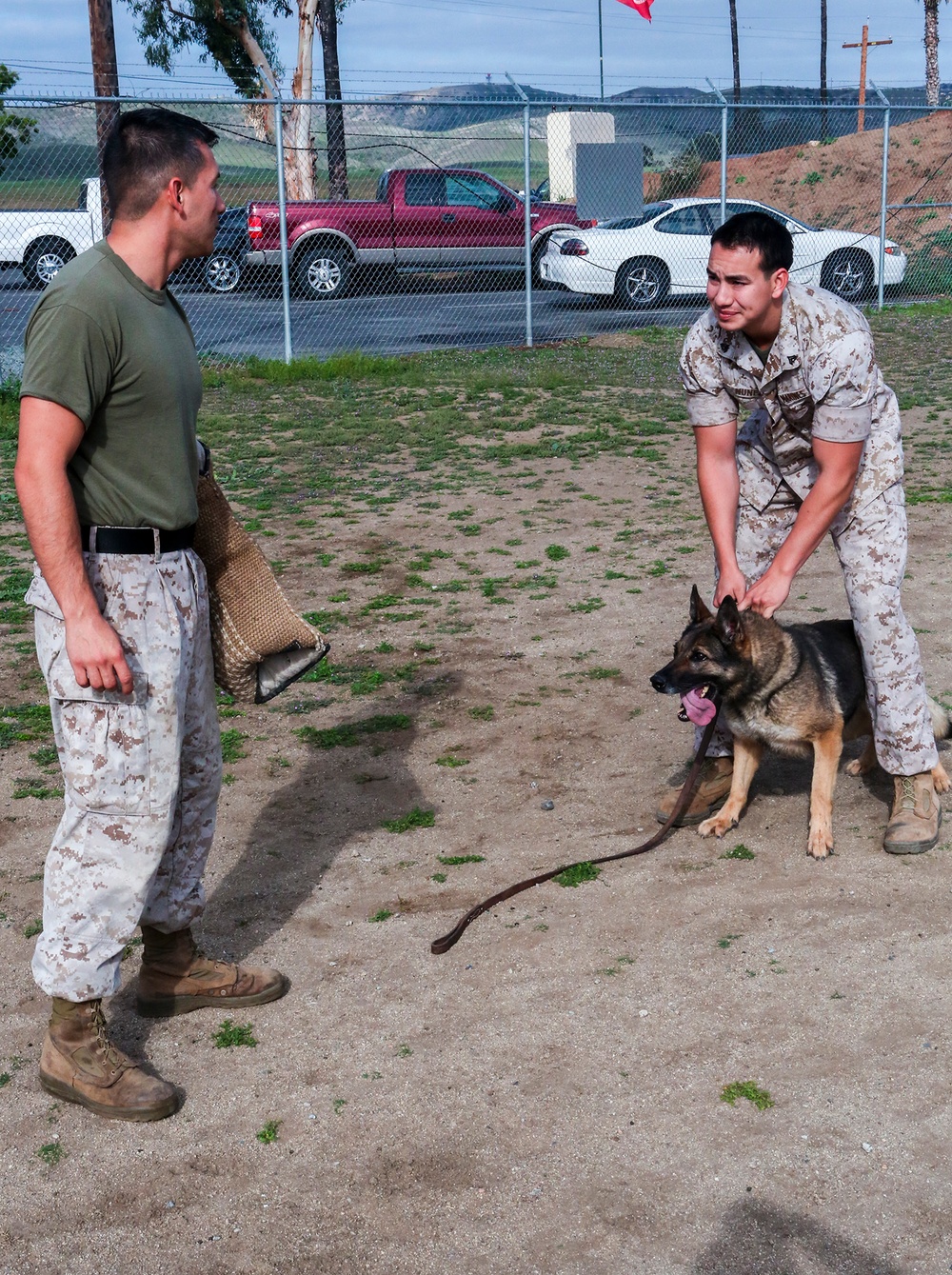 Marine Finds Strength in Furry Companion