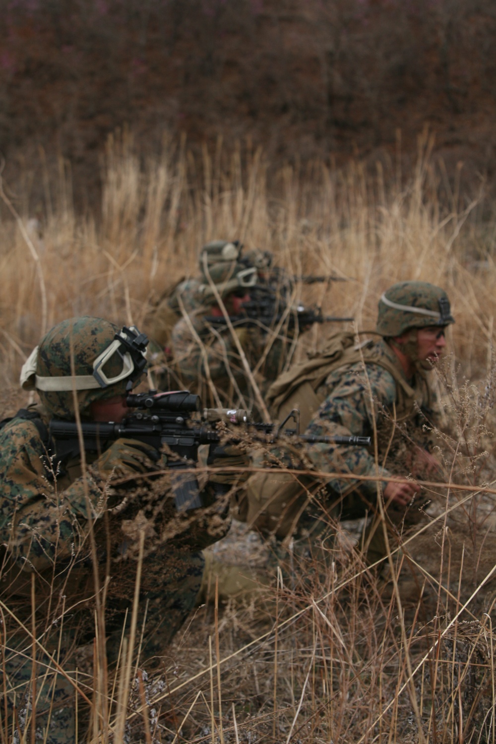 Marines increase combat readiness during Ssang Yong 14