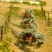 Multinational Force Skills Competition