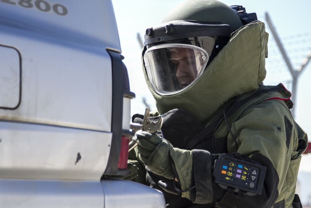 DVIDS - News - EOD soldier tests for team leader certification