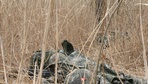 Image 24: Republic of Korea, US Marines complete final test at KMEP 14-5