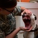 Lackland AFB Veterinary Clinic
