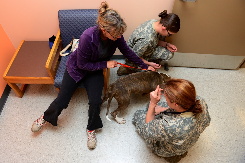 Lackland AFB Veterinary Clinic
