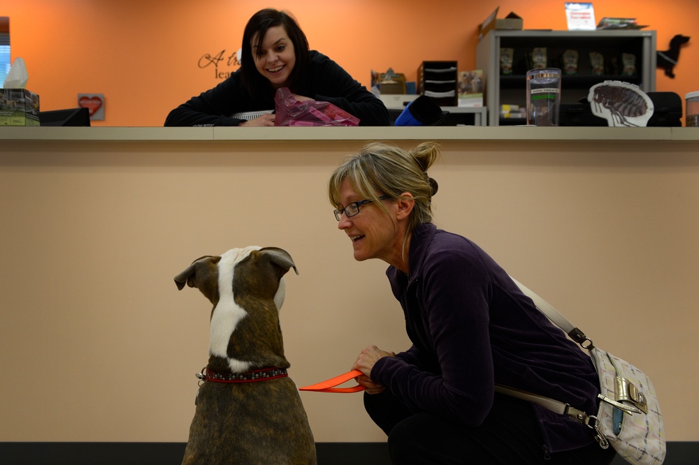 Lackland AFB Veterinary Clinic