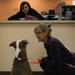 Lackland AFB Veterinary Clinic