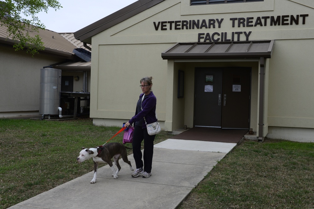 Lackland AFB Veterinary Clinic