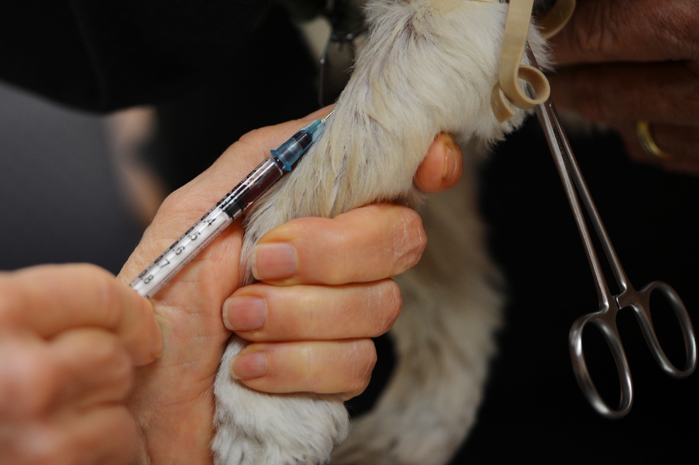 Lackland AFB Veterinary Clinic