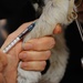 Lackland AFB Veterinary Clinic
