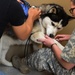Lackland AFB Veterinary Clinic