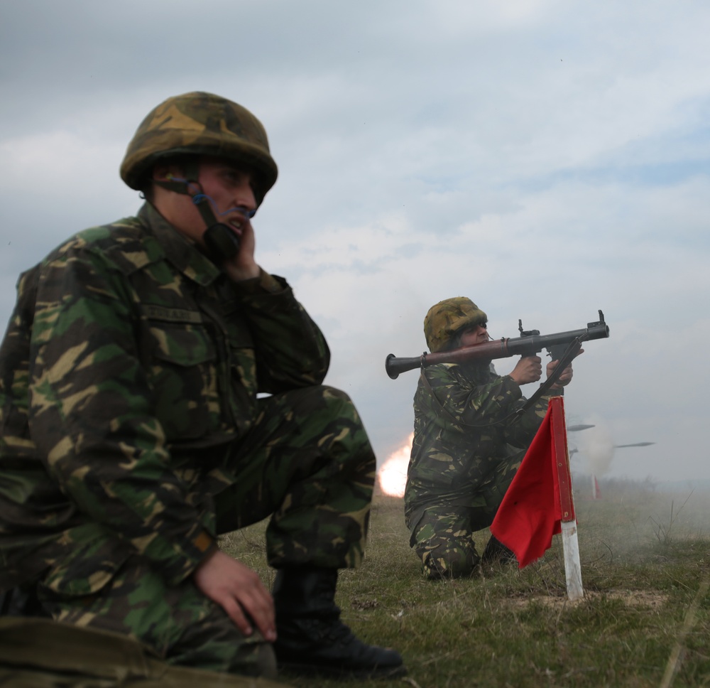 BSRF Marines train with Romanian 307th Naval Infantry Battalion