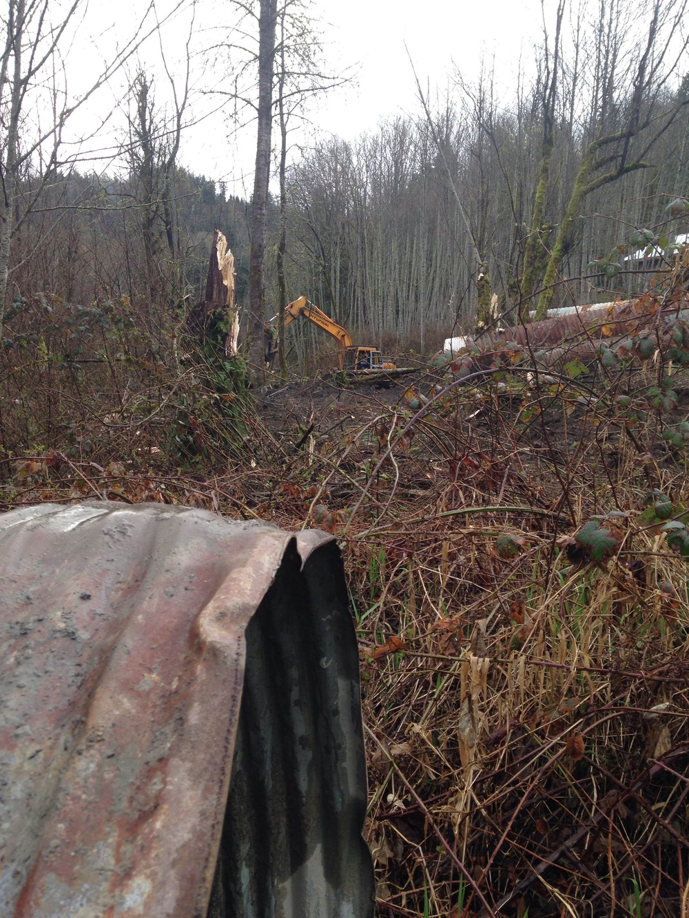 Oso Mudslide