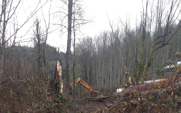 Oso Mudslide