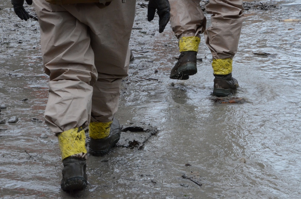 Oso Mudslide