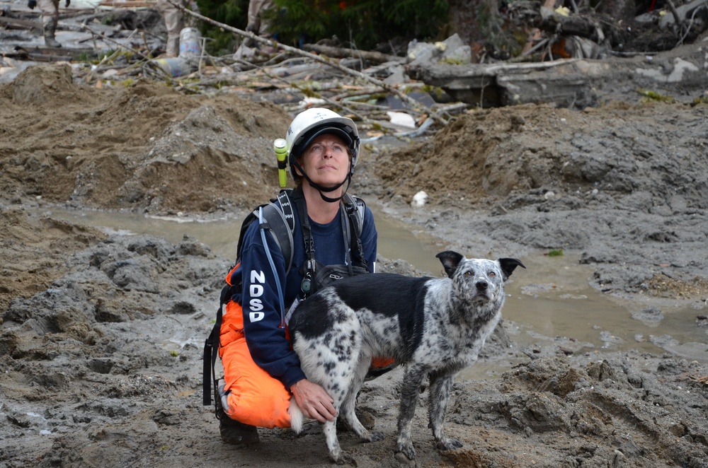 Oso mudslide