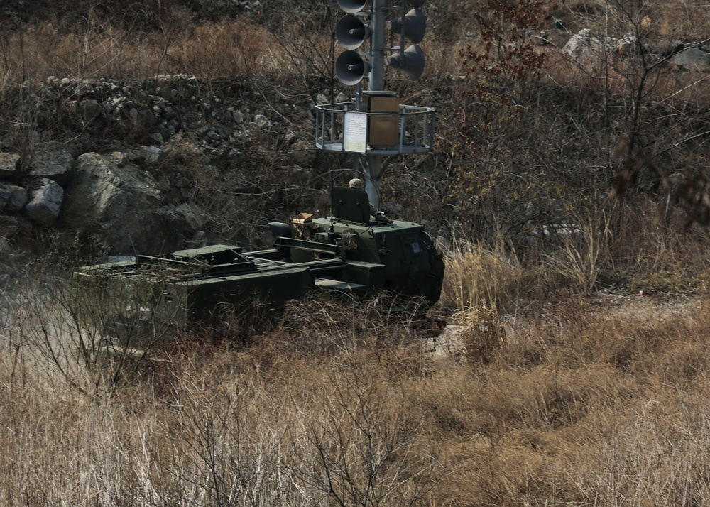 Combined Joint Live Fire Exercise (CJLFEX)