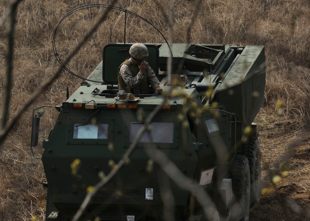 Combined Joint Live Fire Exercise (CJLFEX)