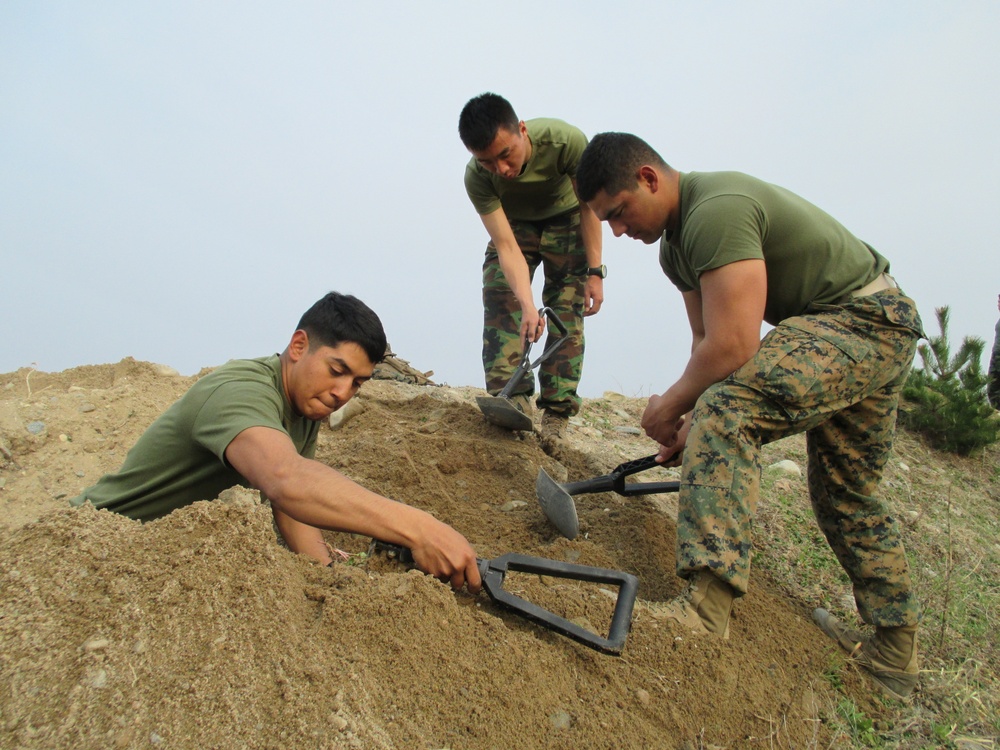 ROK, US Marines prepare fighting positions for Ssang Yong