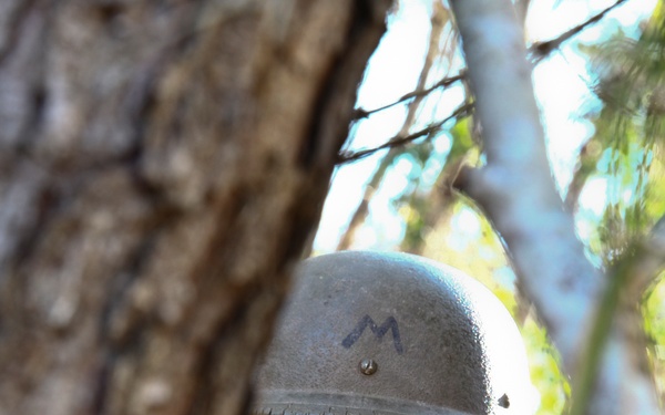 Field Medical Training Battalion - East