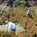 Joint Task Force Civil Support helps preserve historic Nelson House