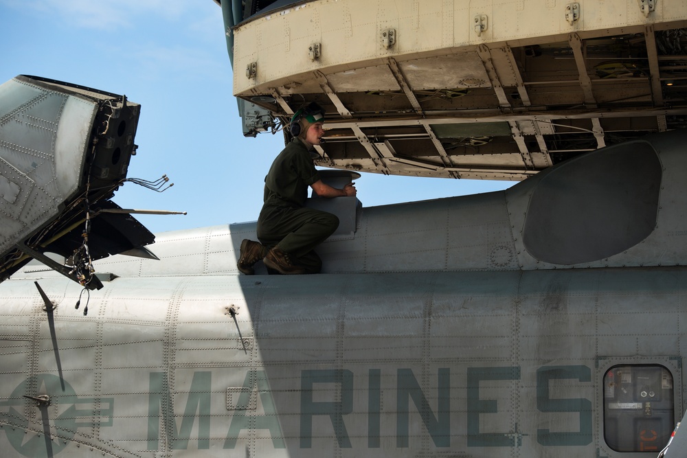Marines increase presence in Australia with third MRF-D