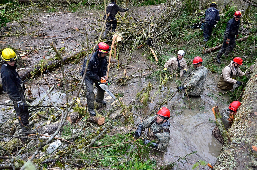 Oso Mudslide