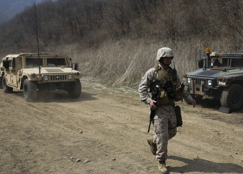 Combined Joint Live Fire Exercise (CJLFEX)
