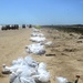 Matagorda Island beach cleanup