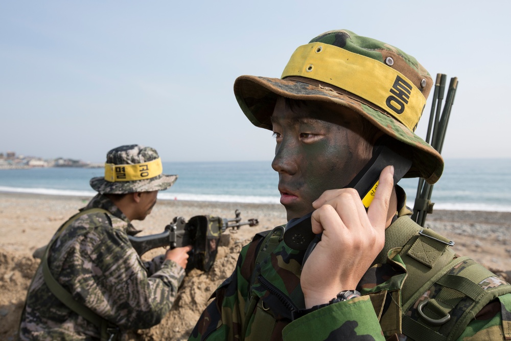 ROK, US Marines Intergraded Amphibious Assault during Ssang Yong 14