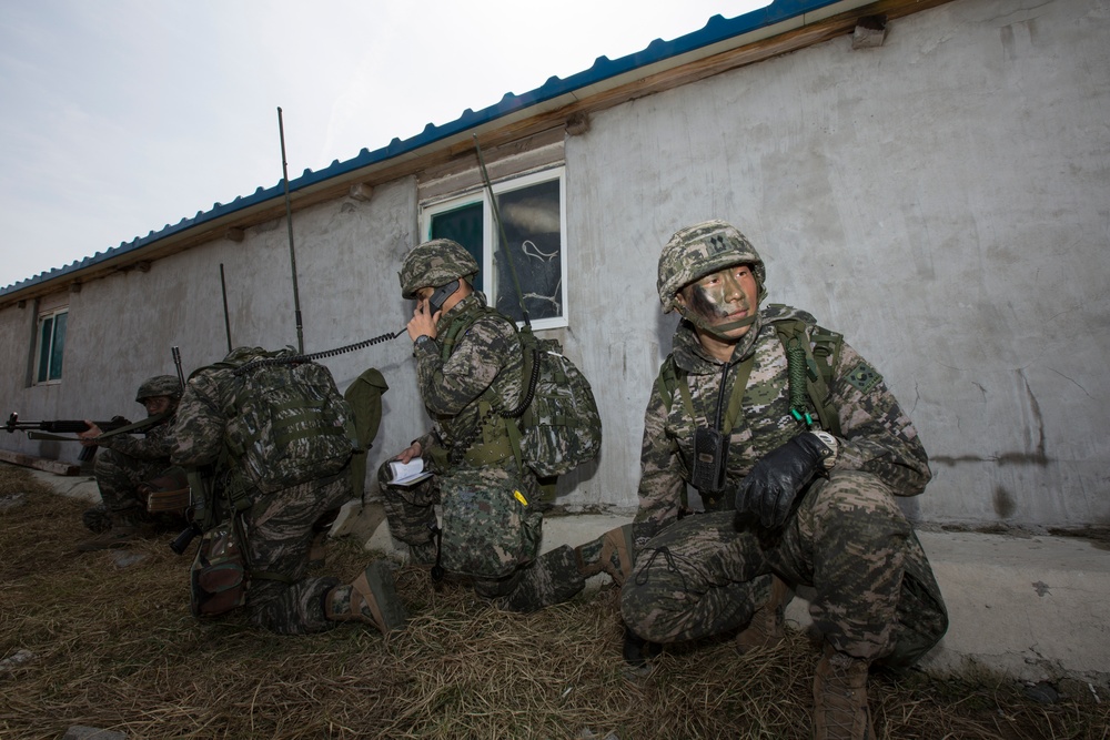 ROK, US Marines Intergraded Amphibious Assault during Ssang Yong 14