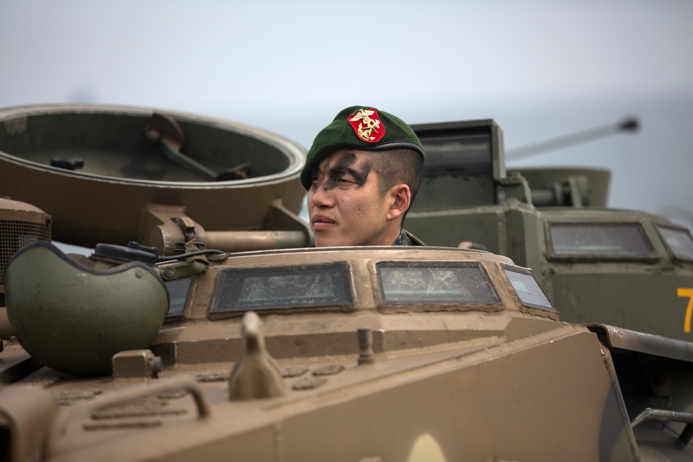 ROK, US Marines Intergraded Amphibious Assault during Ssang Yong 14