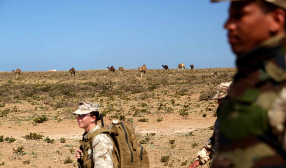 US, Moroccan military personnel refine escalation-of-force tactics during African Lion 14