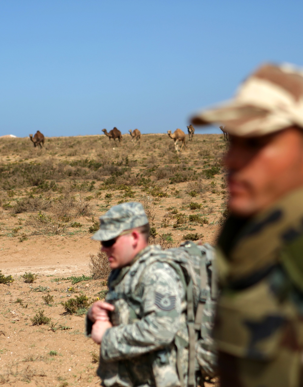 US, Moroccan military personnel refine escalation-of-force tactics during African Lion 14