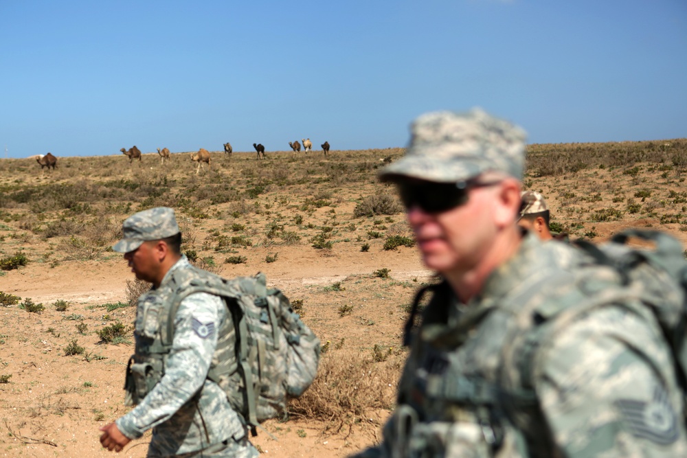 US, Moroccan military personnel refine escalation-of-force tactics during African Lion 14