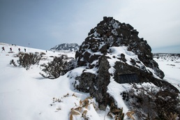 South Korea Sojourns V: Hallasan Mountain