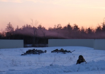 4-31, 1 Rifles conduct joint training operation