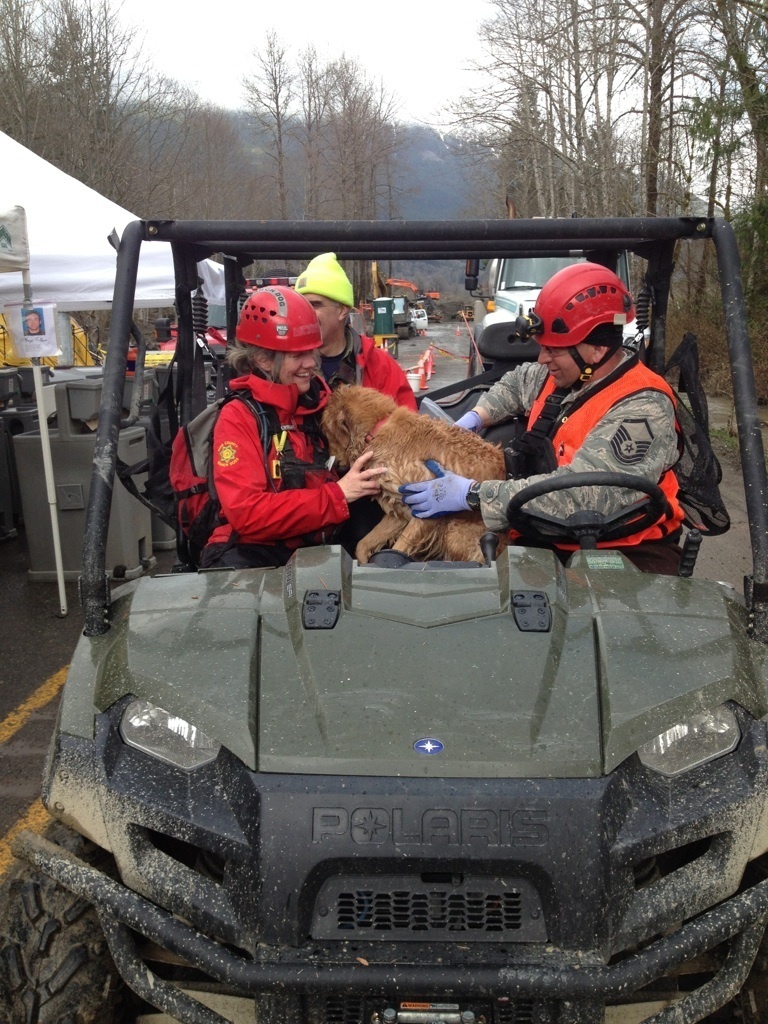 Oso Mudslide