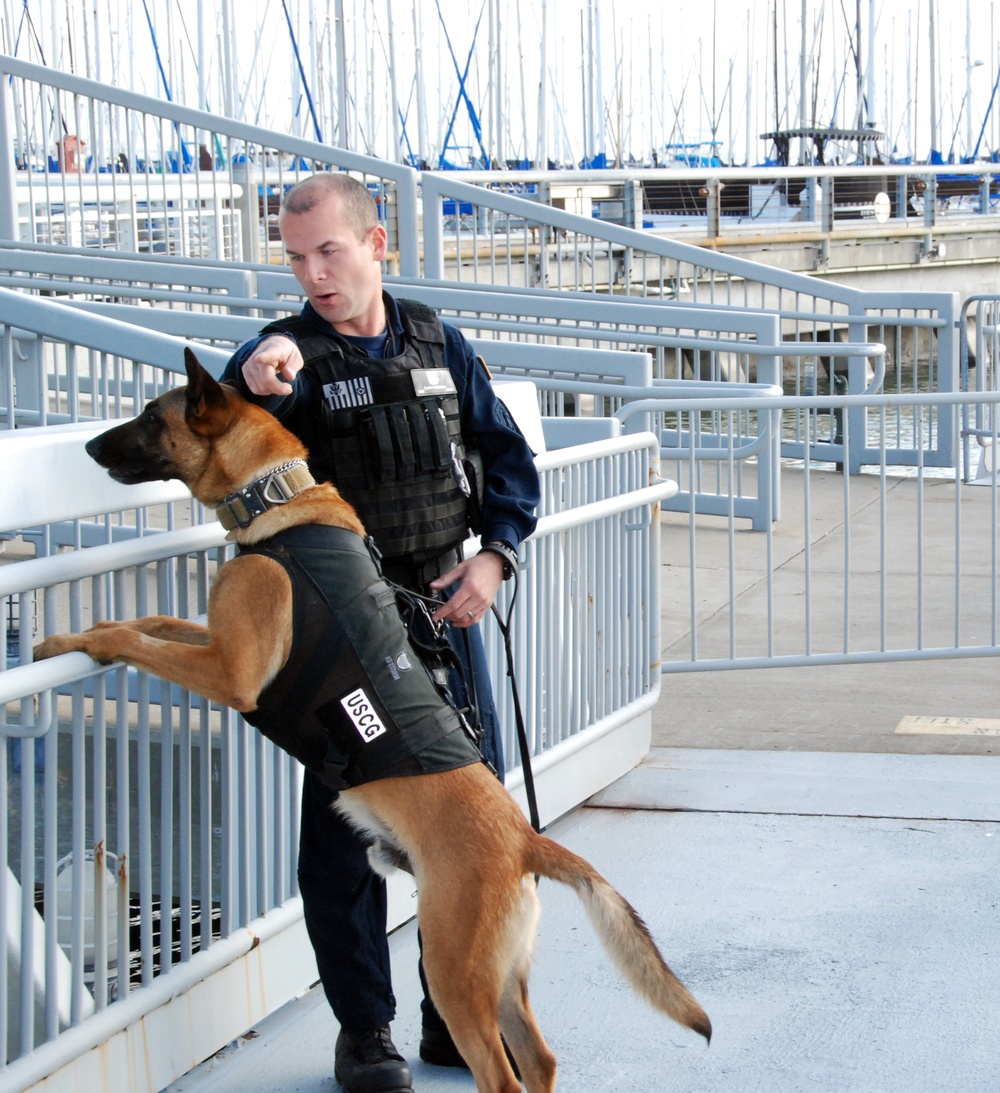 A San Francisco Maritime Enforcement Specialist directs a explosive detection K-9 where to conduct pier sweeps