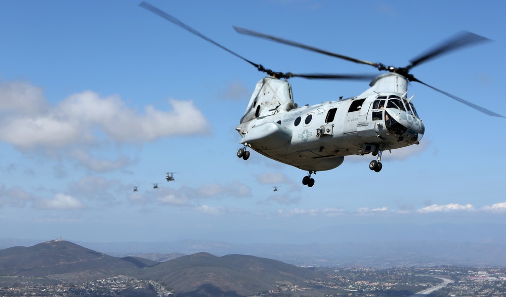 Purple Foxes "Fly the Barn"