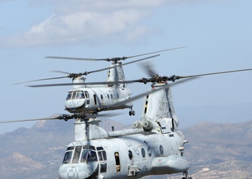 Purple Foxes &quot;Fly the Barn&quot;