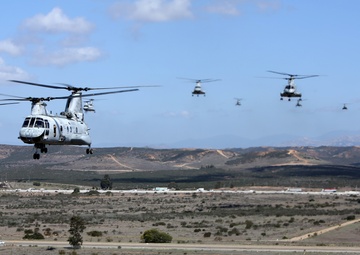 Purple Foxes &quot;Fly the Barn&quot;