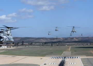 Purple Foxes &quot;Fly the Barn&quot;