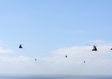 Purple Foxes &quot;Fly the Barn&quot;