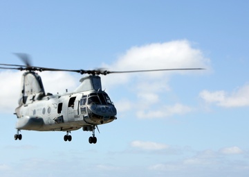 Purple Foxes &quot;Fly the Barn&quot;