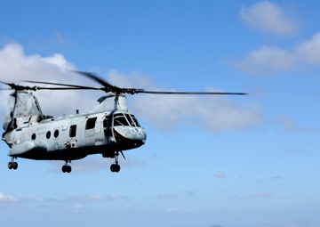 Purple Foxes &quot;Fly the Barn&quot;