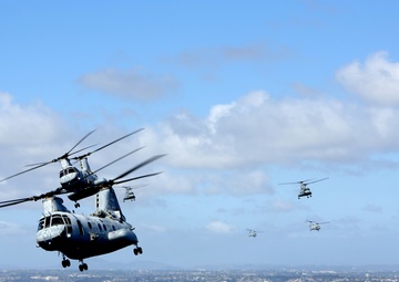 Purple Foxes &quot;Fly the Barn&quot;