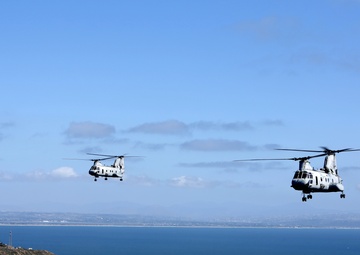 Purple Foxes &quot;Fly the Barn&quot;