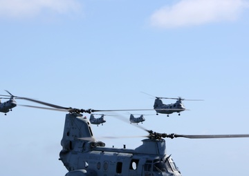 Purple Foxes &quot;Fly the Barn&quot;