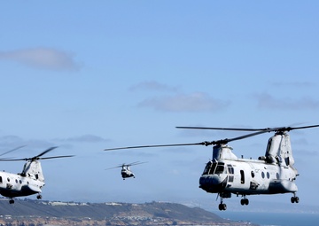 Purple Foxes &quot;Fly the Barn&quot;