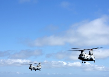 Purple Foxes &quot;Fly the Barn&quot;