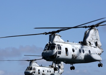 Purple Foxes &quot;Fly the Barn&quot;